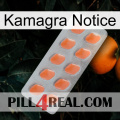 Kamagra Notice 26